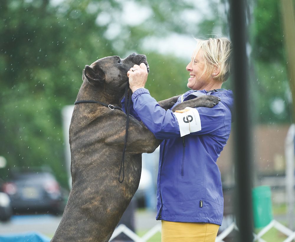 2021 Jersey Shore Cluster